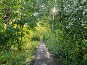 Similar image 21449629