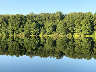 Similar image 21447664