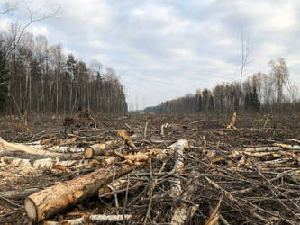 Similar image 21447851