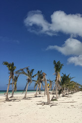 Similar image 21447852