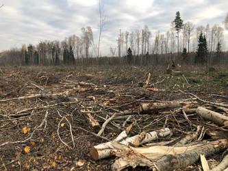 Similar image 21447854