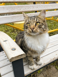 Similar image 21447874