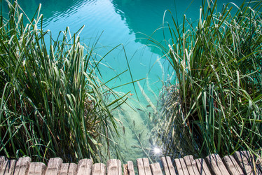 Similar image 21447875