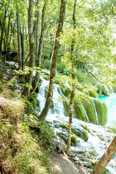 Similar image 21447877