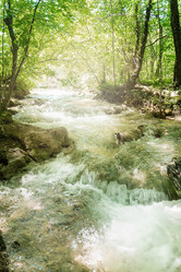 Similar image 21447879