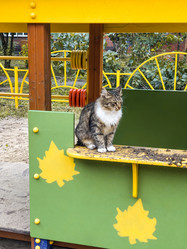 Similar image 21447880