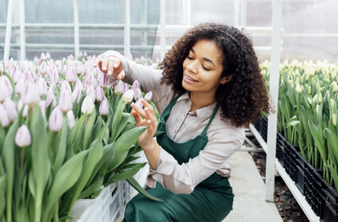 Similar image 21464210