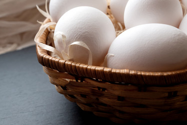 Similar image 21447899