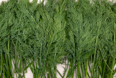 Similar image 21449632