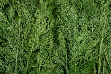 Similar image 21447905