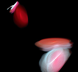 Similar image 21448708