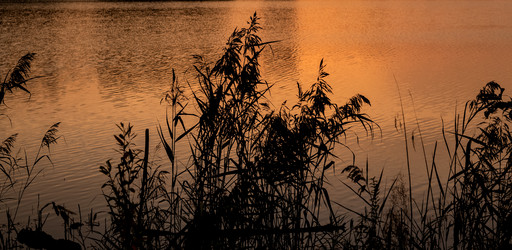 Similar image 21447974