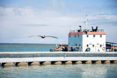 Similar image 21447978