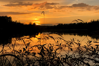 Similar image 21447984