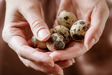 Similar image 21454275