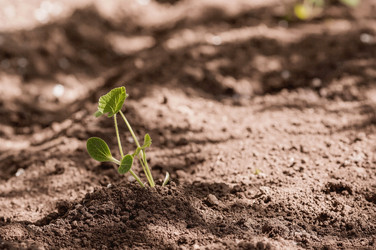 Similar image 21463540