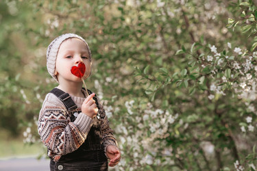 Similar image 21447697