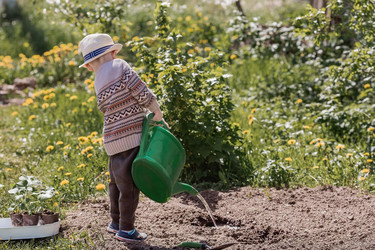 Similar image 21447698