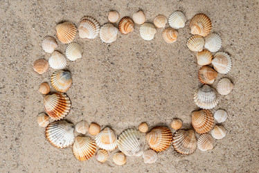 Similar image 21447998