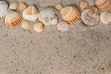 Similar image 21447999