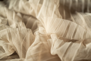 Similar image 21448002