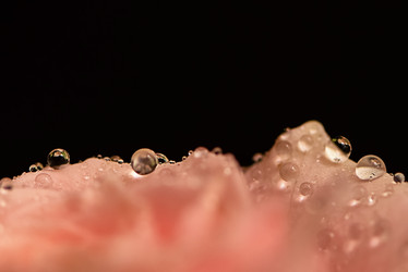 Similar image 21452309