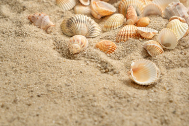 Similar image 21448004