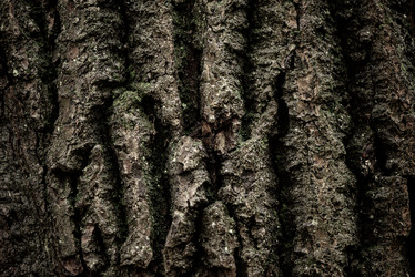 Similar image 21448012