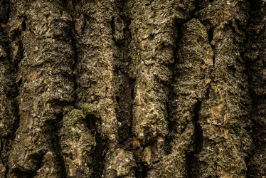 Similar image 21448015