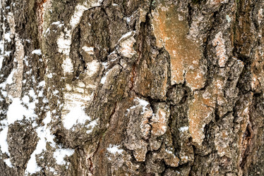 Similar image 21448018