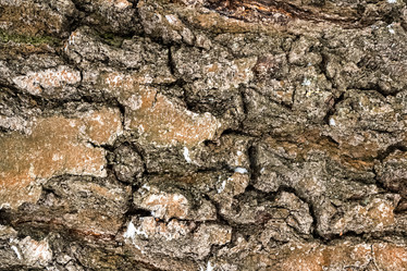 Similar image 21448019