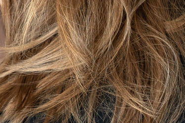 Similar image 21448024