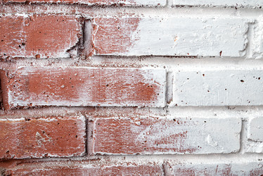 Similar image 21449710