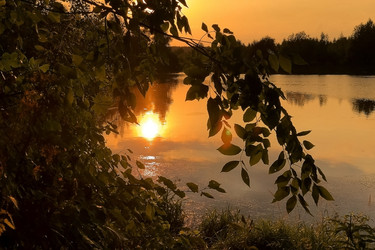 Similar image 21452323