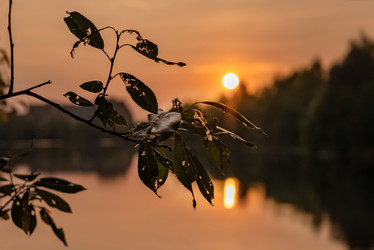 Similar image 21452324