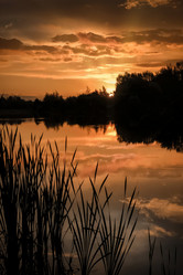 Similar image 21452325