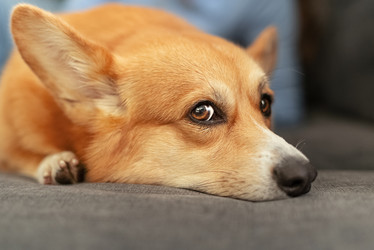 Similar image 21452328