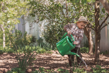 Similar image 21447704