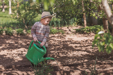 Similar image 21447711