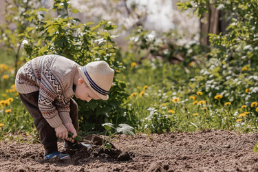 Similar image 21447717