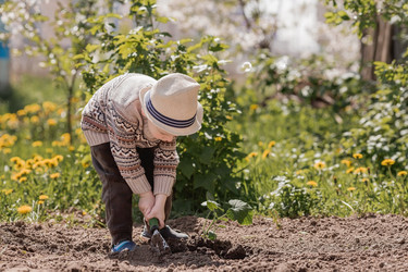 Similar image 21447718