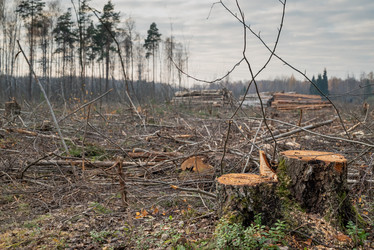 Similar image 21449719