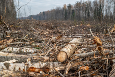 Similar image 21449720