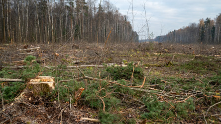 Similar image 21449724