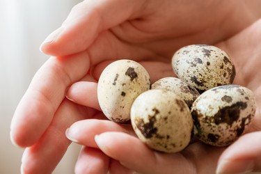 Similar image 21454575