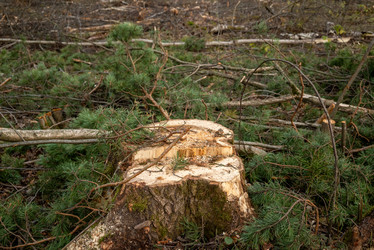 Similar image 21449725