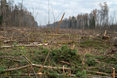 Similar image 21449726