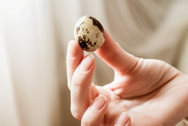 Similar image 21454576