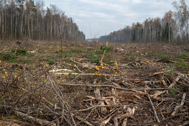 Similar image 21447725