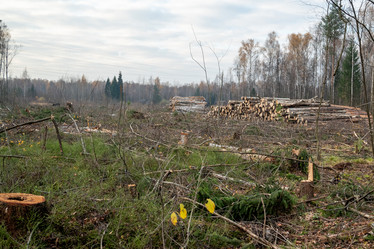 Similar image 21447726